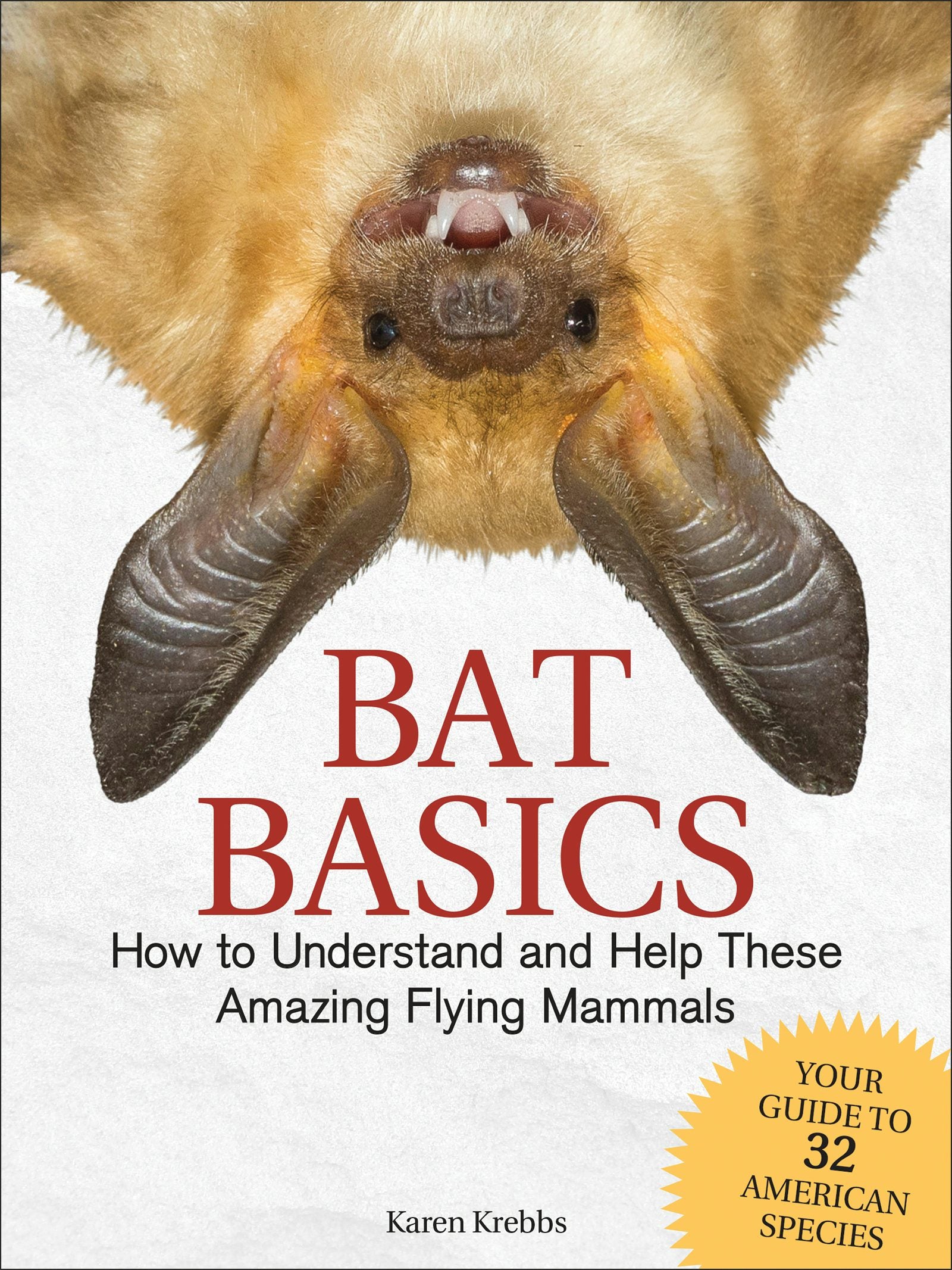 Book cover image for Bat Basics ISBN: 9781591938439